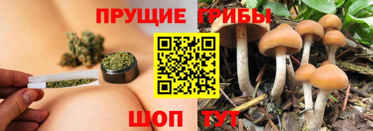Галлюциногенные грибы Magic Shrooms  Галлюциногенные грибы мухоморы  Михайловск  Вход с VPN 